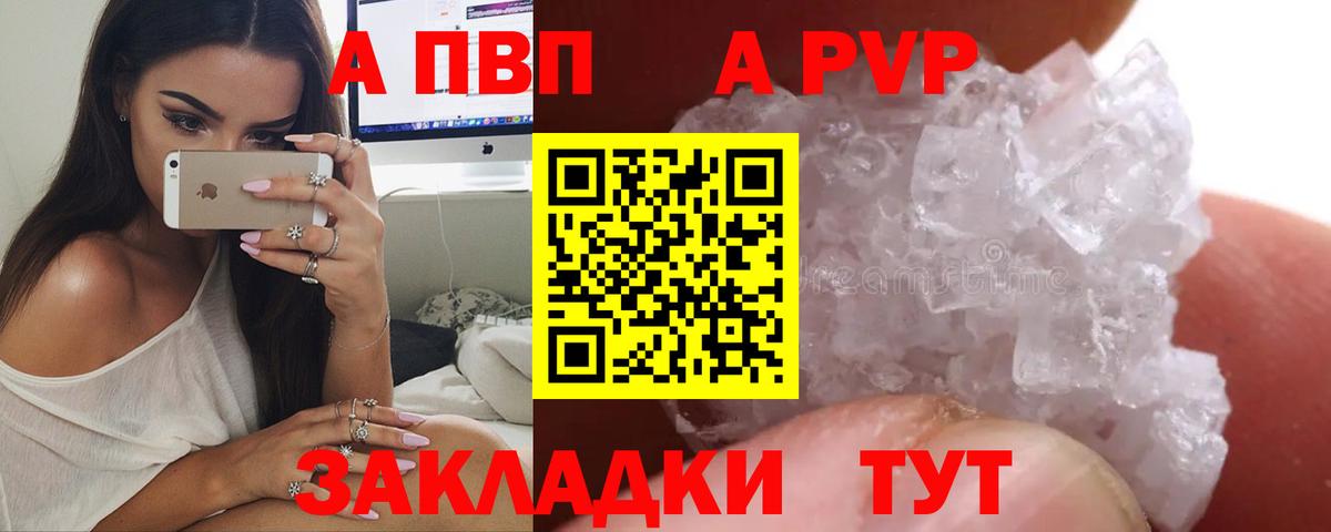 Альфа ПВП СК КРИС Новороссийск