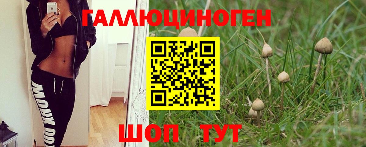 Галлюциногенные грибы Cubensis Новороссийск