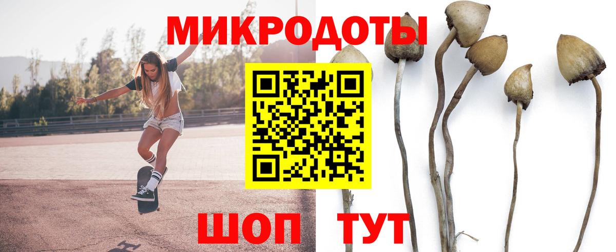 Новороссийск  Псилоцибиновые грибы мицелий  Псилоцибиновые грибы Magic Shrooms  Вход с VPN 